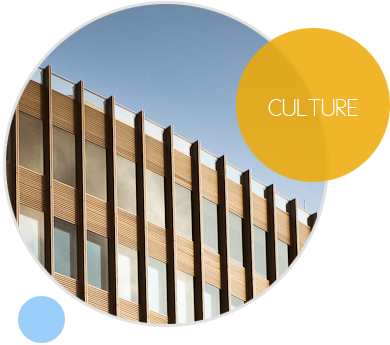 企業(yè)文化 企業(yè)文化